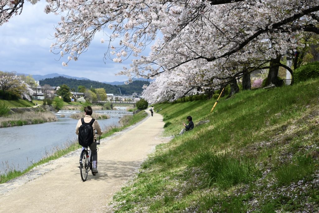 京都市左京区出町柳駅近くのシェアハウス、シェアオフィスWhatever SHIMOGAMO - EAST周辺「高野川」