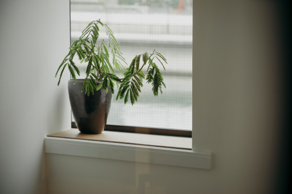 中之島シェアオフィス / Whatever NAKANOSHIMA /オフィス空間 /靱公園近く