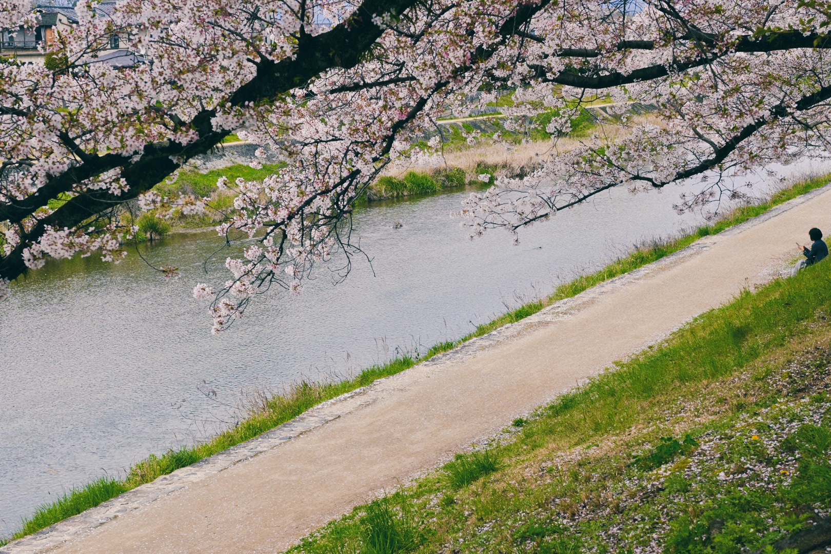 Whatever KAMIGAMO / Book Apartment / ブックアパートメント / コレクティブハウス京都 /ワンルーム賃貸京都 / 北山駅 /リノベーションアパート /　恵文社